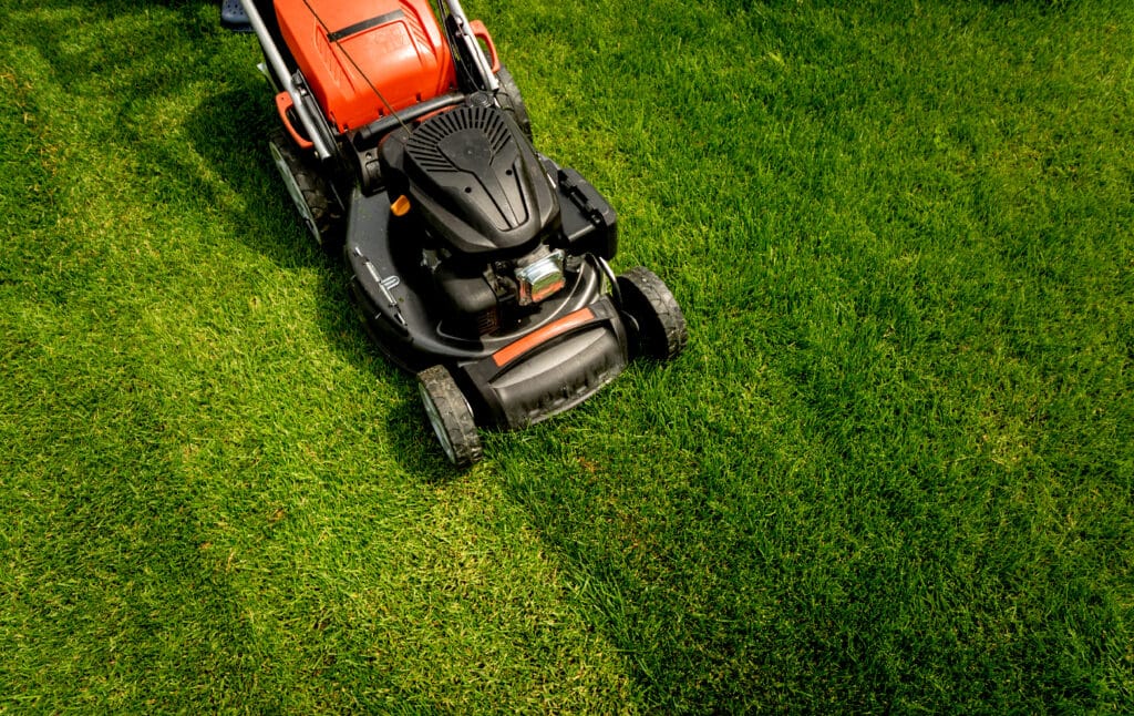 lawn care needham ma