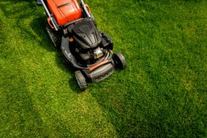 lawn care needham ma