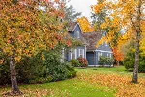 Needham landscaper